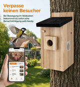 Vogelglück-Set – NistBlick + Futterstube + Kuschelnest