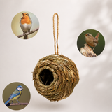 NistBlick + Kuschelnest – Kamera-Vogelhaus mit Winternest